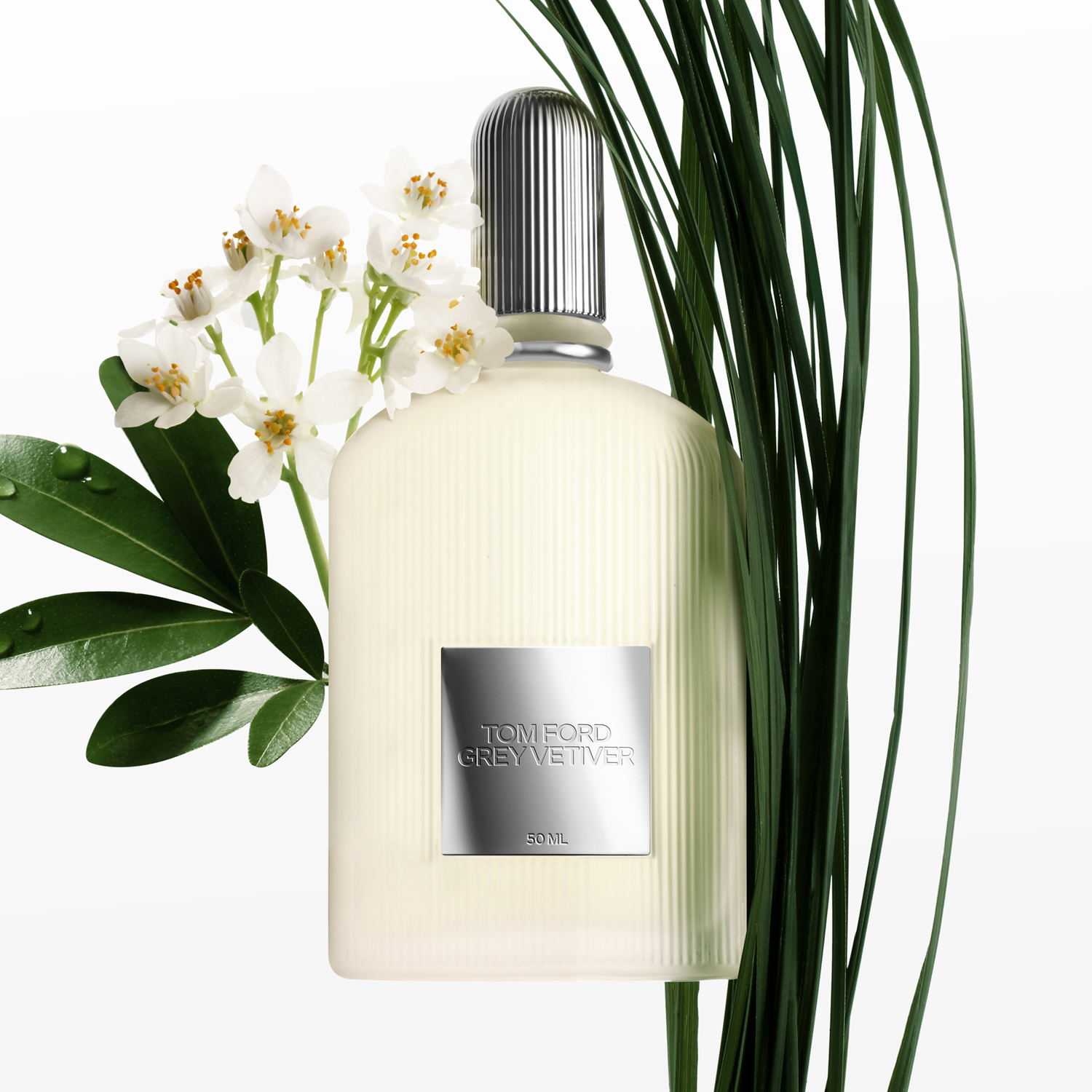 Grey Vetiver