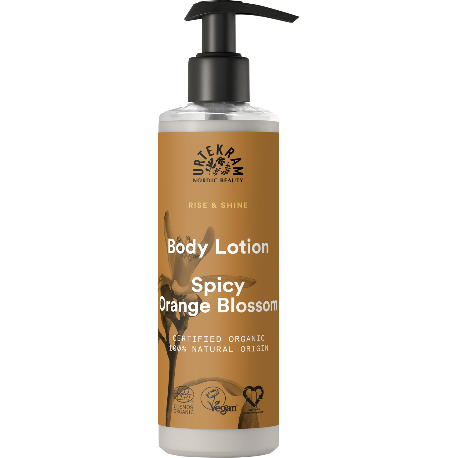 Rise & Shine Body Lotion