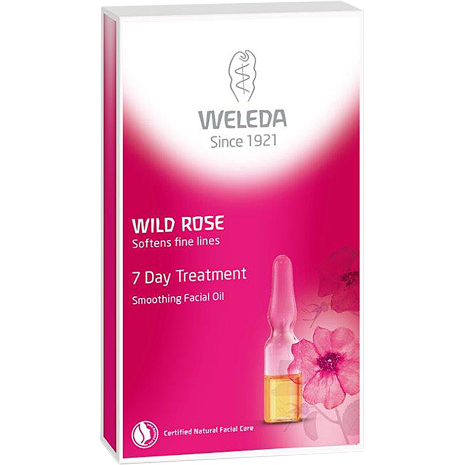 Wild Rose