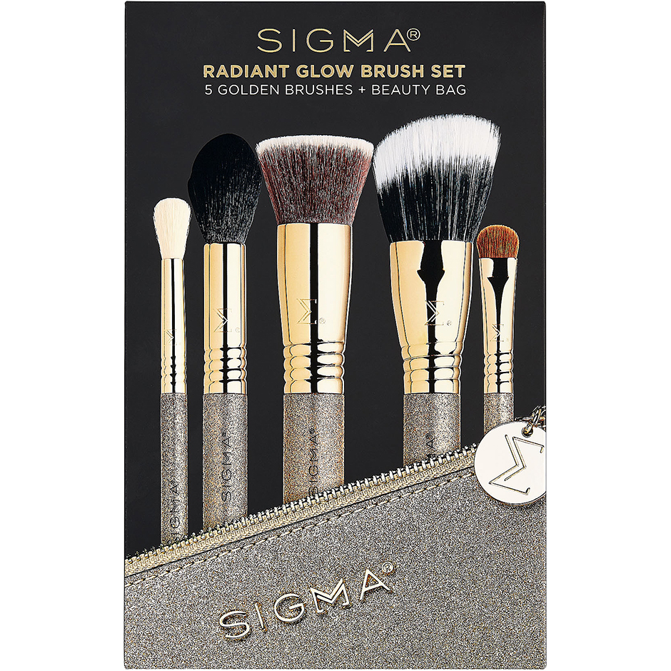 Radiant Glow Brush Set