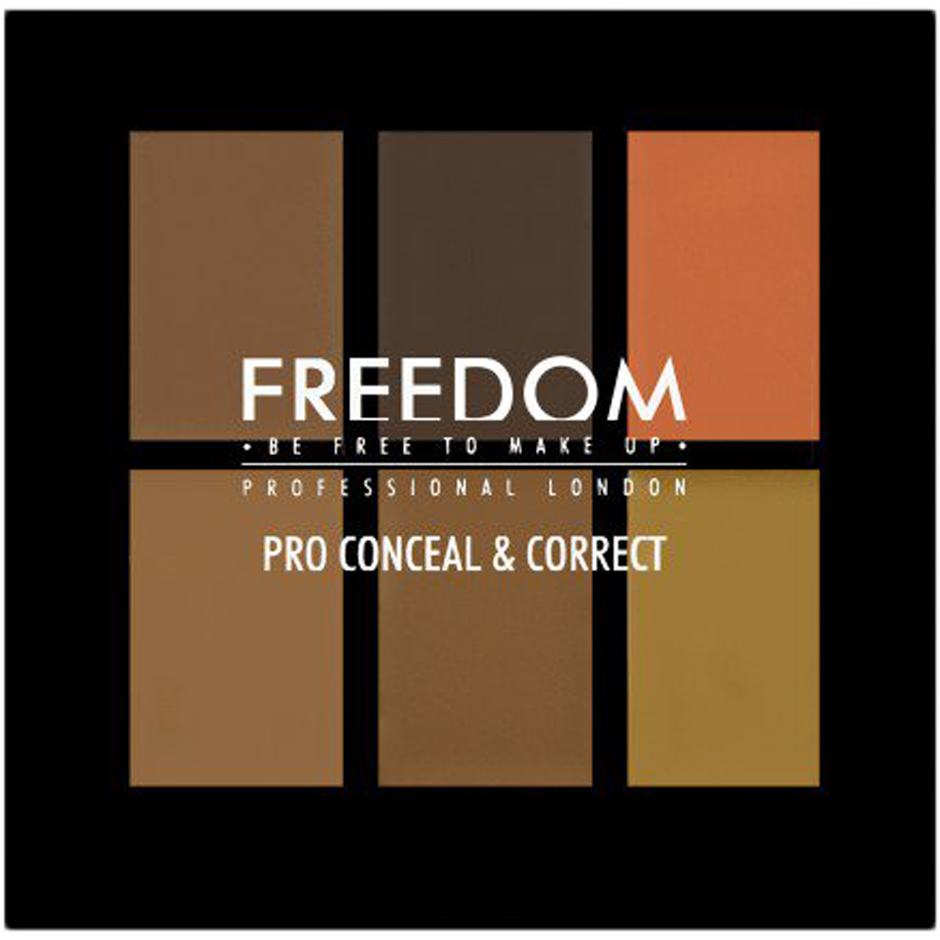 Pro Conceal & Correct