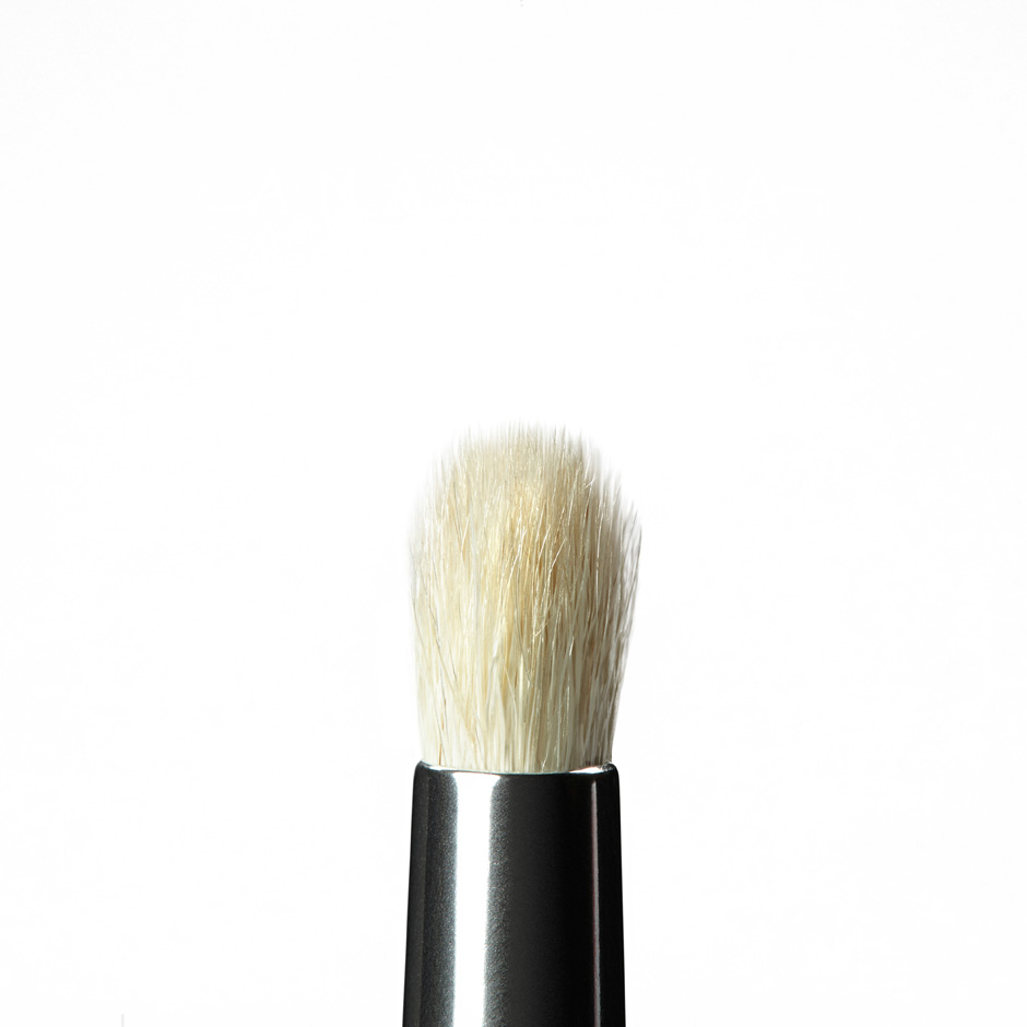 Brush