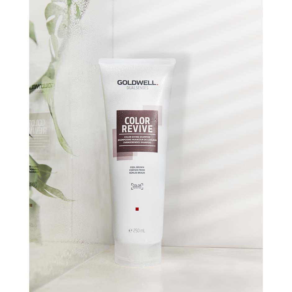 Dualsenses Color Revive Color Giving Shampoo