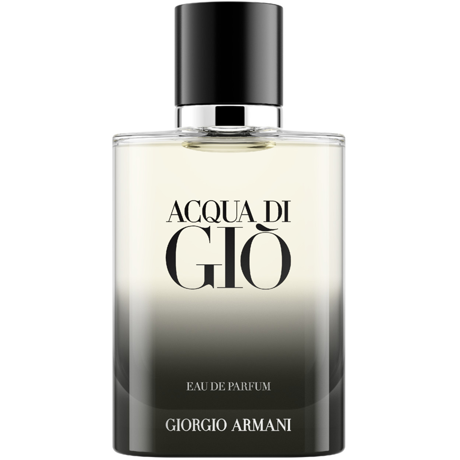 Acqua Di Gio Homme