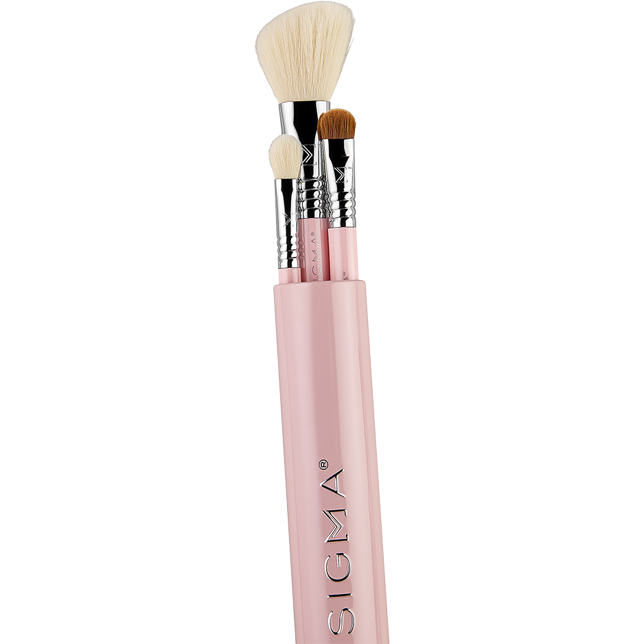 Essential Trio Brush Set - Pink