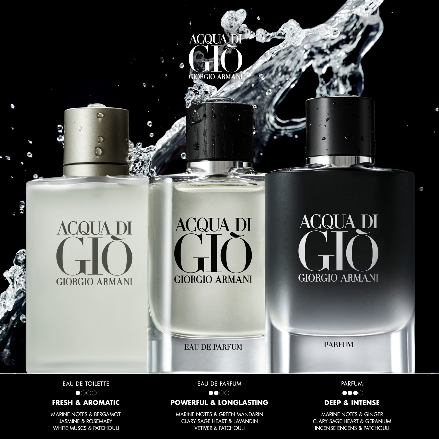 Acqua di Gio Homme