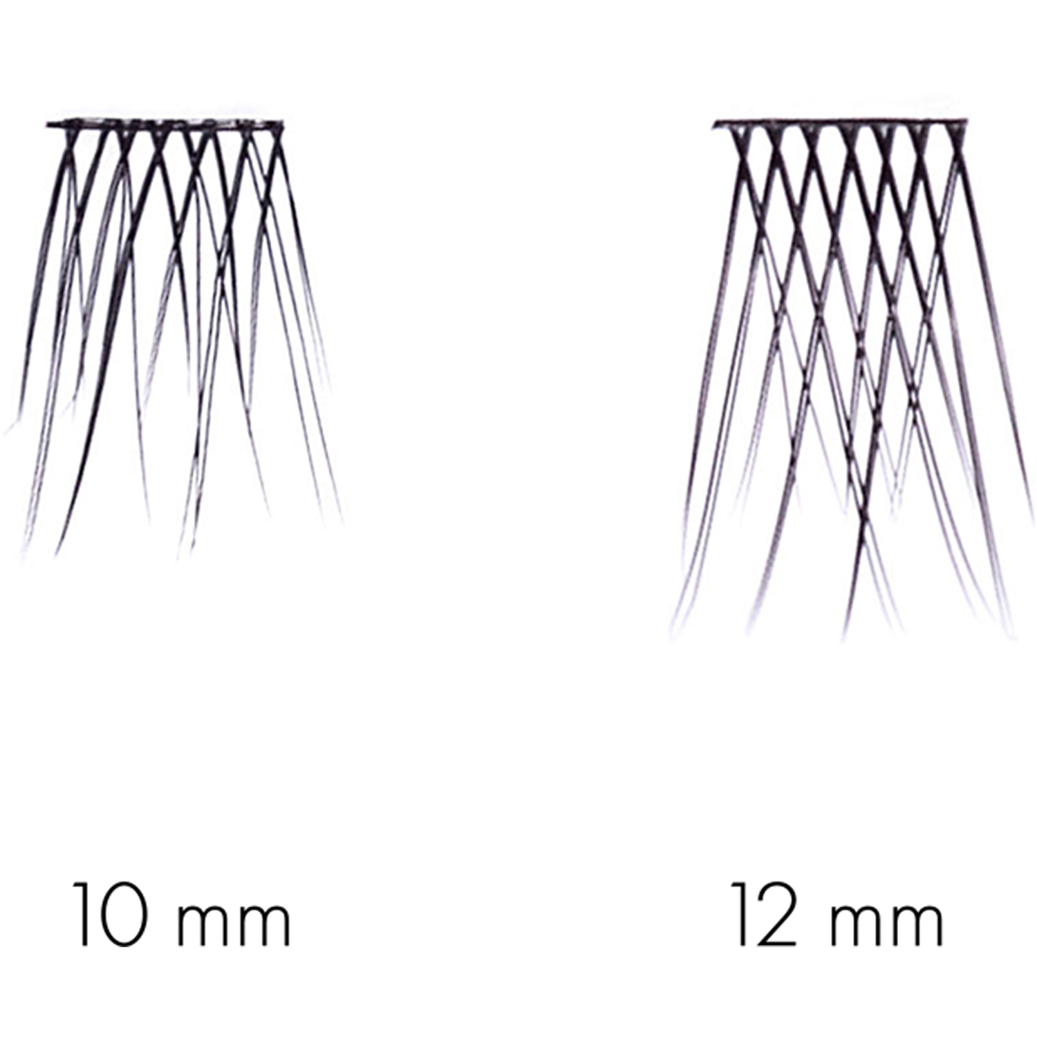 No Lash Cluster Duo Size