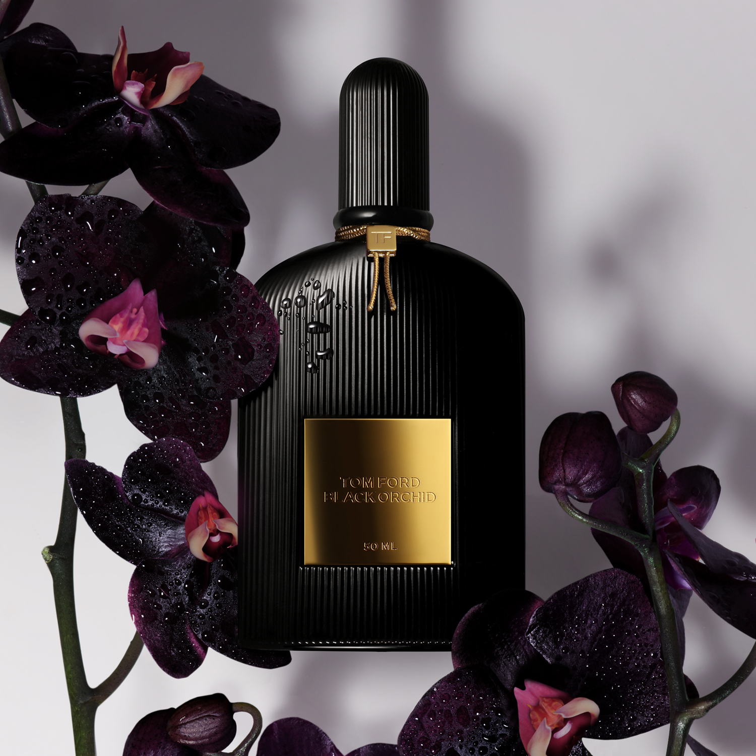 Black Orchid