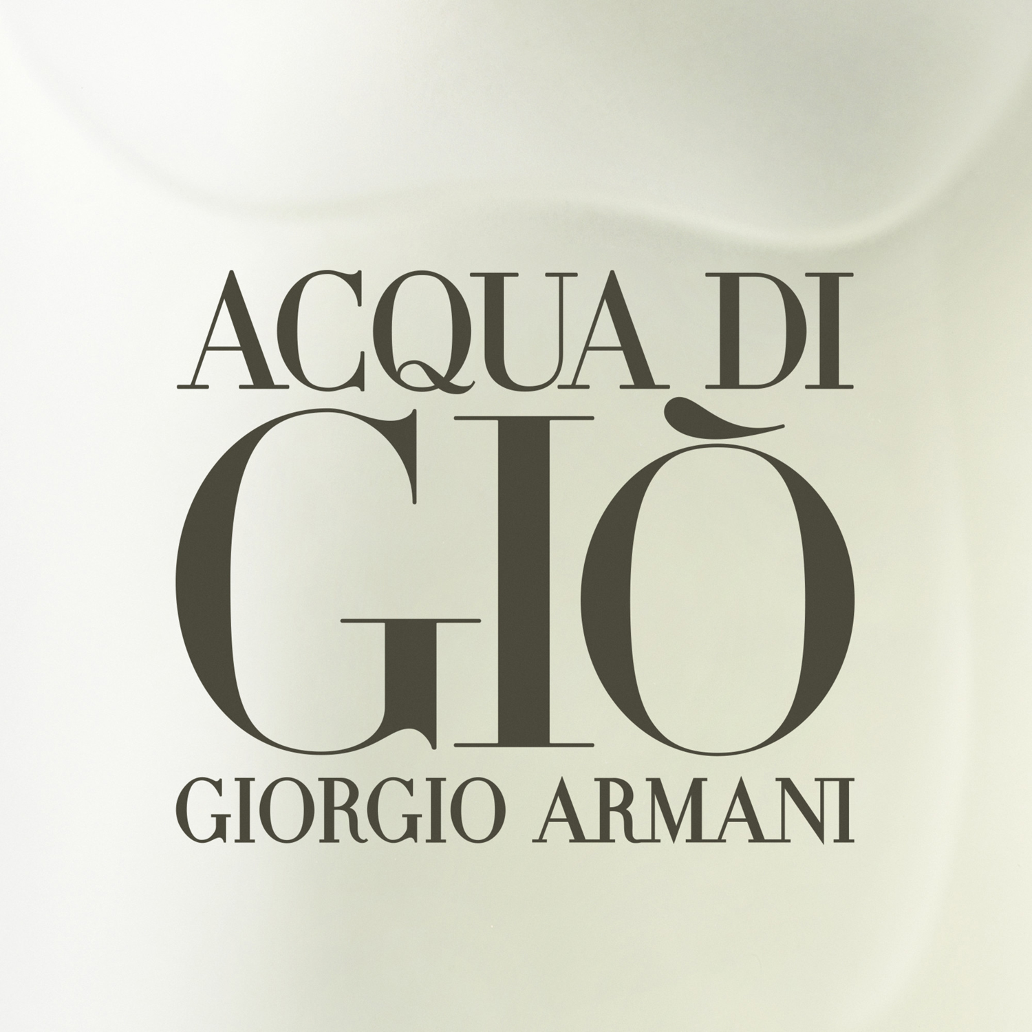 Acqua Di Gio Homme